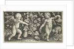Two angels on either side of squash, pumpkin, or gourd by Nicolaes de Bruyn