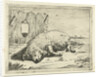 Lying pig by Paulus Potter