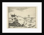 Lying cow by Paulus Potter