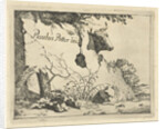 Cup ox behind rock by Marcus de Bye