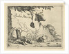 Cup ox behind rock by Marcus de Bye