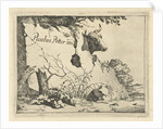 Cup ox behind rock by Marcus de Bye