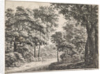 Large trees on either side of a path by Anthonie Waterloo