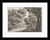 Large trees on either side of a path by Anthonie Waterloo