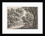 Large trees on either side of a path by Anthonie Waterloo