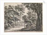 Large trees on either side of a path by Anthonie Waterloo