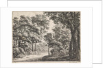 Large trees on either side of a path by Anthonie Waterloo