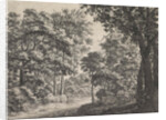 Large trees on either side of a path by Anthonie Waterloo