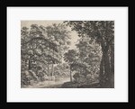 Large trees on either side of a path by Anthonie Waterloo