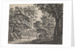 Large trees on either side of a path by Anthonie Waterloo