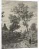 Farmer on a country road by Willem Roelofs I