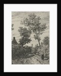 Farmer on a country road by Willem Roelofs I