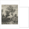 Farmer on a country road by Willem Roelofs I