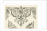 Ornament featuring Schweifwerk by Balthasar Caymox