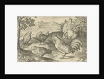 Three hens and two roosters by Nicolaes de Bruyn