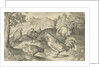 Three hens and two roosters by Nicolaes de Bruyn