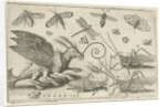 Locusts and fantasy creature with wings by Nicolaes de Bruyn