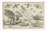 Locusts and fantasy creature with wings by Nicolaes de Bruyn