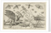 Locusts and fantasy creature with wings by Nicolaes de Bruyn