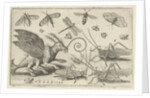 Locusts and fantasy creature with wings by Nicolaes de Bruyn