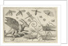 Locusts and fantasy creature with wings by Nicolaes de Bruyn