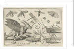 Locusts and fantasy creature with wings by Nicolaes de Bruyn