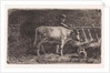 Farmer between two cows in a manger in a stable (small version) by Jan Vrolijk