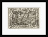 Jacob's Ladder by Eduwart van Hoeswinckel