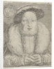 Portrait of King Henry VIII of England and Ireland by Cornelis Massijs