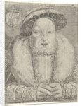 Portrait of King Henry VIII of England and Ireland by Cornelis Massijs