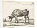 Grazing cow by Wouter Johannes van Troostwijk