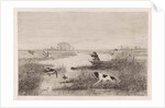Duck Hunt by Elias Stark