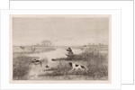 Duck Hunt by Elias Stark