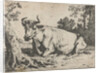Lying cow near a tree by Paulus Potter