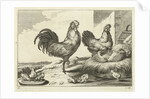 Chicken, roosters and chicks by Francis Barlow