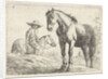 Two horses, one Horseman by Jochem Bormeester