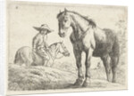 Two horses, one Horseman by Jochem Bormeester
