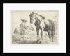 Two horses, one Horseman by Jochem Bormeester