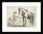 Two horses, one Horseman by Jochem Bormeester