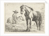 Two horses, one Horseman by Jochem Bormeester