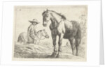 Two horses, one Horseman by Jochem Bormeester