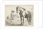 Two horses, one Horseman by Jochem Bormeester
