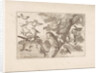Owl and other birds in a tree by Pieter Schenk I