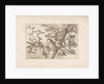 Owl and other birds in a tree by Pieter Schenk I