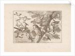 Owl and other birds in a tree by Pieter Schenk I