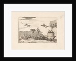 Pigeons by Pieter Schenk I