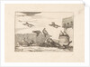 Pigeons by Pieter Schenk I