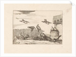 Pigeons by Pieter Schenk I