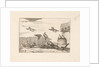 Pigeons by Pieter Schenk I
