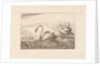 Swans by Pieter Schenk I